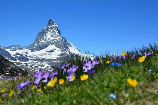 تور سوئیس فروردین