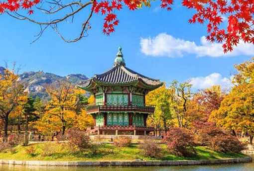10 مورد از بهترین کارهایی که باید در کره جنوبی انجام دهید