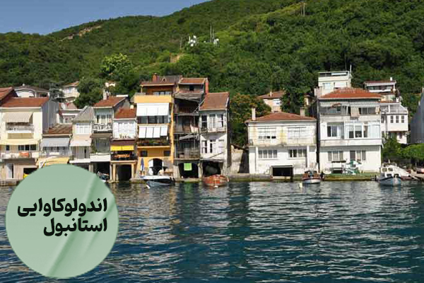 اندولوکاوایی