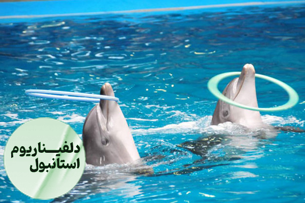دلفیناریوم استانبول