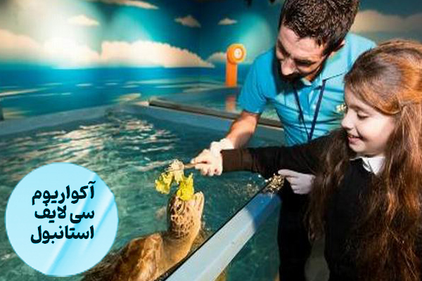 سی لایف