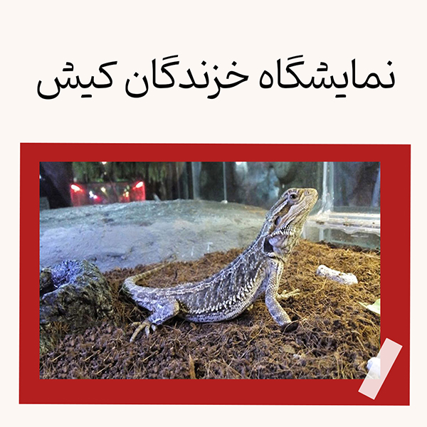 نمایشگاه خزندگان کیش