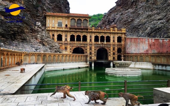 معبد میمون ها