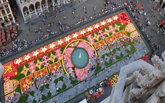 flower carpet in brussels